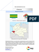 Perfil Departamento Del Cauca PDF