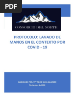 PROTOCOLO LAVADO DE MANOS - Yvy