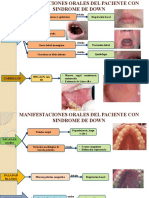 Aporte-Sindrome-Down-Manifestaciones Bucales