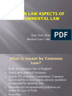 COMMON LAW ASPECTS OF ENVIRONMENTAL LAW - PPTM