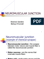 Neuromuscular Junction: Shannon Sanders Bishop O'Connell