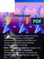 Dna Repair