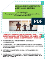 Taller UNAF Dr. Barudy Competencias Parentales y Separacion Conyugal