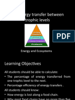 5.2 Energy Transfer Between Trophic Levels