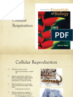 BIO 101 Chapter 8