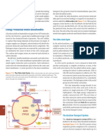 (E BOOK) Martini Essentials of Anatomy Physiology