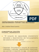 Capacidades Perceptivo Motrices