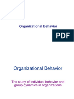 Organizational Behavior