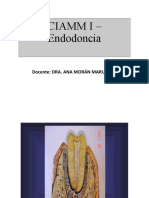 Clasificación Histopatológica Enfermedad Pulpar y Periapical