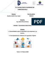 Higiene y Seguridad PDF