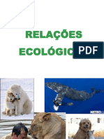 Relações Ecológicas