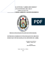 ESTUDIO DE LOS RIESGOS OCUPACIONALES EN EL PROCESO DE RECOLECCIÓN DE BASURA EN EL MUNICIPIO DE CAMIRI - Módulo 6