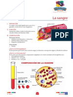 BIOLOGIA - 4to Grado - S2 - La Sangre