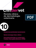 MM Clindervet 10