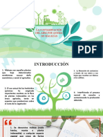 La Contaminacion Del Aire Por Quema de Malezas