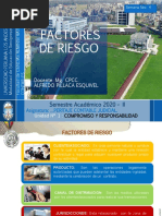 Factores de Riesgo