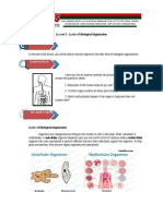 Lesson 3 - Levels of Biological Organization