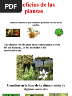 Beneficios de Las Plantas