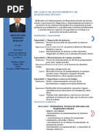 CV BRAYAN LUIS ESPINOZA ROSALES