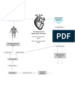 Two Vena Cava, and Coronary Sinus: The Movement of Blood Inside The Heart