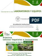 Práctica Células Vegetales e Inclusiones PDF