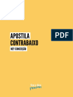 Apostila NeyConceicao PDF