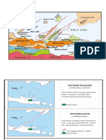 Petrolum System NE-JAVA