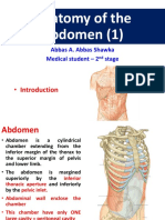 Anatomy of The Abdomen (1) : - Introduction