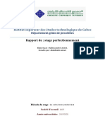 Rapport DAPA 1 PDF