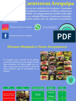 Catalogo Planzen Carnivoras Arequipa