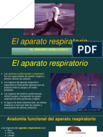 Aparato Respiratorio AFS II Asg PDF