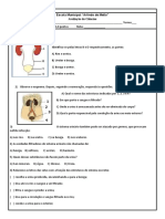 Prova 8 Ano Sistema Urinario