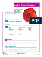 Understanding Flower Anatomy: Flowers