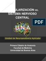 Circuito Vascularizaciã N Del SNC