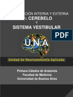 Configuración Interna y Externa Del Cerebelo