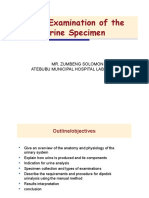 Basic Examination of The Urine Specimen: Mr. Zumbeng Solomon Atebubu Municipal Hospital Laboratory