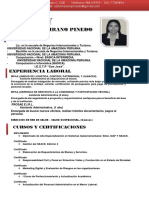 CV Documentado Yamily Altamirano Pinedo PDF