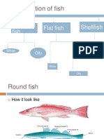 Classification of Fish