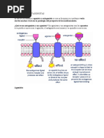 Agonistas y Antagonistas