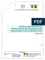 Schema Operationnel de Renforcement Des Capacites