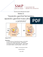 12 Informe Anatomia