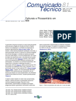 Graviola - Manejo e Práticas Culturais PDF