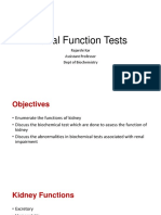 Renal Function Tests