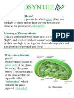 Kub Notes - Photosynthesis