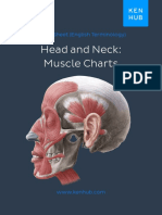 Head and Neck: Muscle Charts: Cheat Sheet (English Terminology)