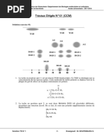 Solution TD 01 CCM