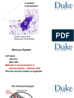 Week2-4pptphysiology Nervous System Organisation 2