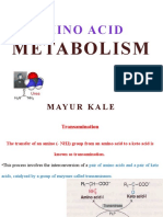 Amino Acid Metabolism