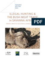 Bushmeat Trade