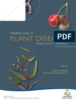 Pictorial Atlas of Plant Diseases in Tasmania